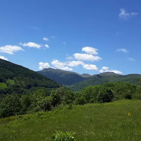 Gite Cosy A Laveissiere, Cheminee, Proche Parc Volcans D'auvergne - Fr-1-742-601 Feriehus